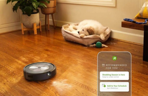 robot hút bụi Roomba